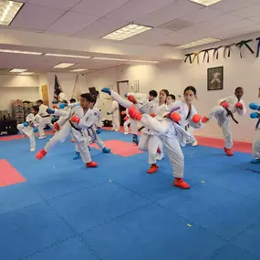 Bild von Shotokan Karate Dojo