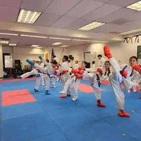 Bild von Shotokan Karate Dojo