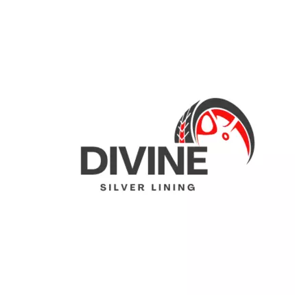 Logo von Divine Silver Lining LLC