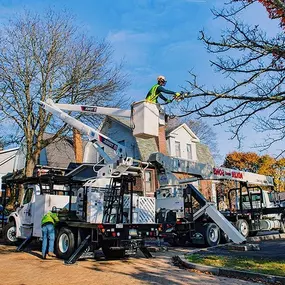 Bild von KD Tree Service Albany