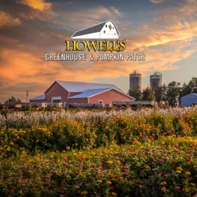 Bild von Howell's Greenhouse and Pumpkin Patch