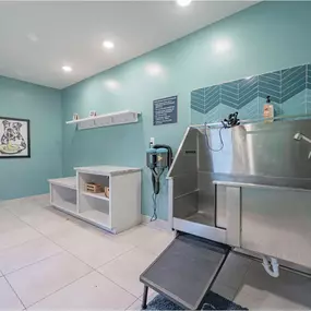 A kitchen with a stainless steel sink and a white counter