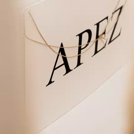 Logo von APEZ DE APEZTEGUIA