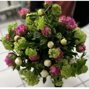 Bild von Blumeninsel Sudmeyer