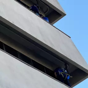 Commercial Window Cleaning Service