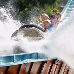 Bild von Freizeitpark Slagharen - Vermittlung