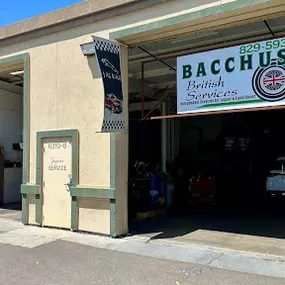 Bild von Bacchus British Services