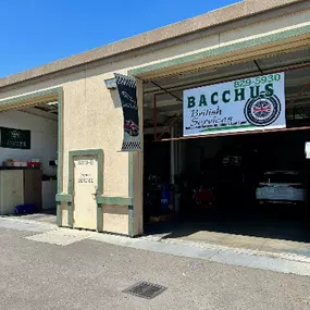 Bild von Bacchus British Services