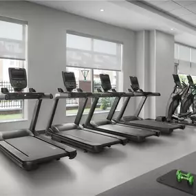 Health club  fitness center  gym