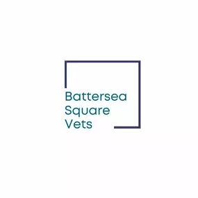 Bild von Battersea Square Vets