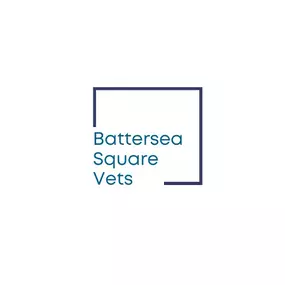 Bild von Battersea Square Vets