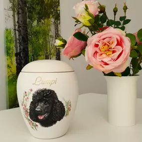Bild von Tierbestattung Phönix Inh. Kerstin Seeliger
