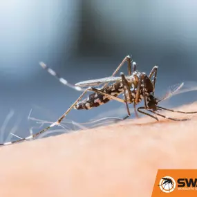 Mosquito Control Misting Treatment | SWAT Mosquito Systems®