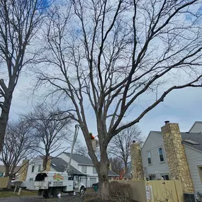 Bild von Harrison's Pro Tree Service Inc.