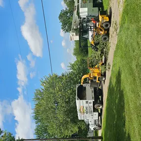 Bild von Harrison's Pro Tree Service Inc.