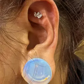 Bild von Phantom 8 Tattoo & Piercing