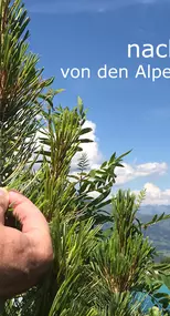 Bild von Natur & Design Arvenmöbel Arvenbett & Bico Matratzen - gesund & nachhaltig - Bauarena