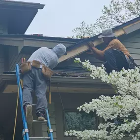 Bild von The Roof Company