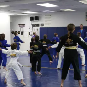 We believe martial arts is more than just physical training—it’s a path to personal growth. As a family-owned and operated academy, we offer expert instruction in Brazilian Jiu-Jitsu, Muay Thai Kickboxing, and Mixed Martial Arts (MMA) for all ages and skill levels. Our welcoming environment emphasizes safety, perseverance, and dedication, helping students grow not only as athletes but as confident, respectful individuals.