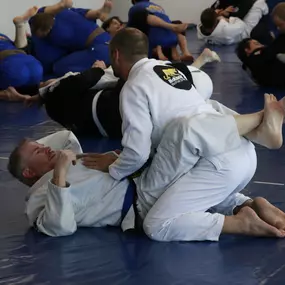 Our personalized training includes private or small group lessons that offer an excellent opportunity to receive personalized feedback and training recommendations, enabling you to learn at your preferred pace.