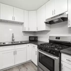 Modern Kitchen
