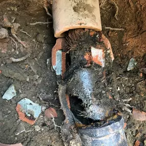 Bild von All Go Plumbing and Rooter