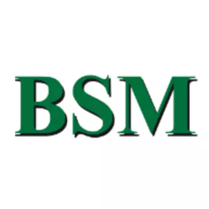 Logo de BSM Gebäudetechnik GmbH