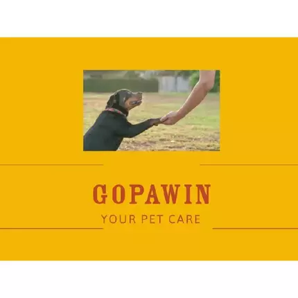 Logo de GoPawin