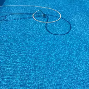 Bild von Pool Guys Ltd