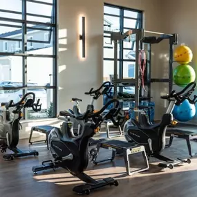 Fully equipped fitness center with large windows, allowing for ample natural light. The gym is equipped with high-end stationary bikes, strength training equipment, and colorful exercise balls.