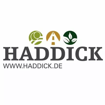 Logo von Haddick Projekt GmbH