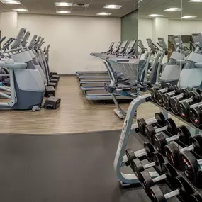 Health club  fitness center  gym
