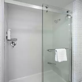 Guest room bath