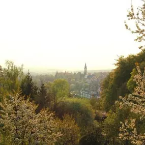 Bild von Městský úřad Planá