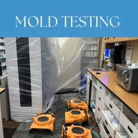 Mold testing