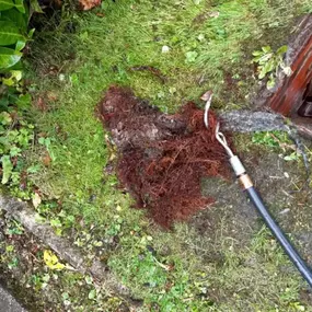Bild von Madden Drainage