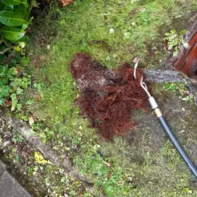 Bild von Madden Drainage