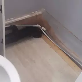 Bild von Madden Drainage