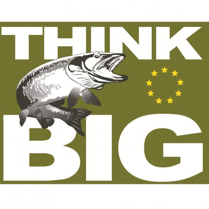 Logo de Think Big