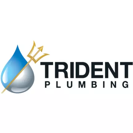 Logo van Trident Plumbing