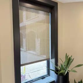 Lutron Motorized Roller Shades