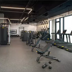 Health club  fitness center  gym