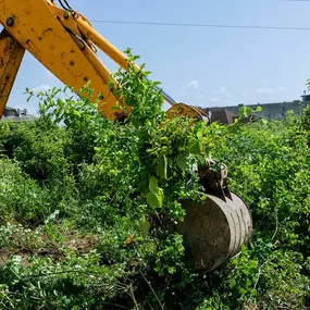 Excellence in every project, from small patios to large-scale demolition, is what Trinity Landscaping & Excavating, Inc. delivers. Call today for a consultation!