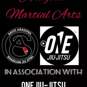 Bild von ARAGONA MARTIAL ARTS - Worthing BJJ & Muay Thai Academy