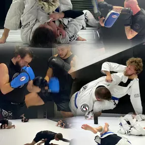 Bild von ARAGONA MARTIAL ARTS - Worthing BJJ & Muay Thai Academy