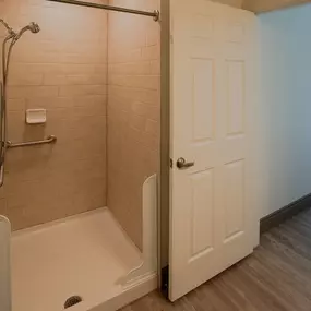 A bathroom with a walk in shower and a white door.