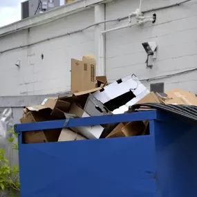 Bild von Expert Dumpster