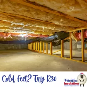 Bild von Pacific Insulation & Mold Remediation