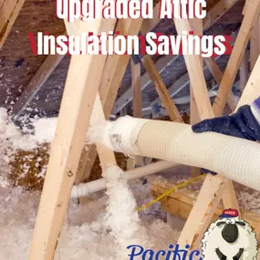 Bild von Pacific Insulation & Mold Remediation