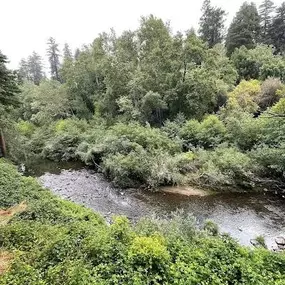 Bild von Santa Cruz Redwoods RV Resort